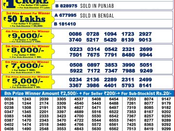 Result of Punjab Diwali Bumper 2024